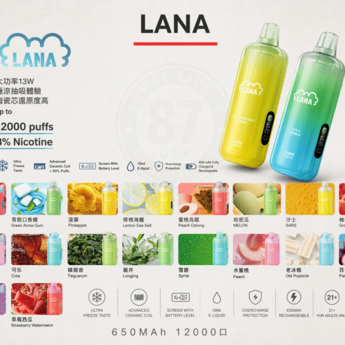 LANA 12000口一次性電子煙｜可充電・大煙量・多口味